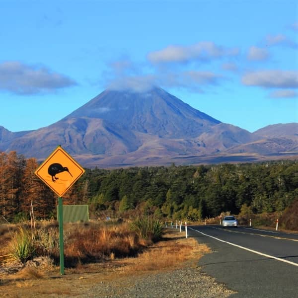 viatge personalitzat a Nova Zelanda amb 2WAYS Tours