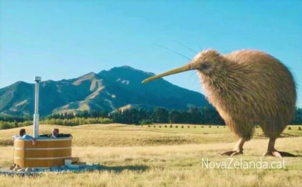 Nova-Zelanda-Viatges-Reobra-Fronteres