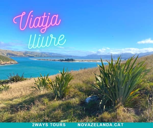 Llibertat-Viatges-Nova-Zelanda