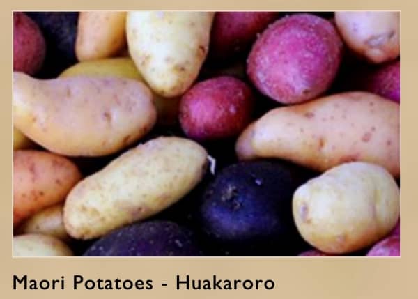 Maori-Potatoes-New-Zealand