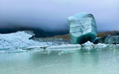 Celebrar el Dia del Medi Ambient a Nova Zelanda amb 2WAYS Tours