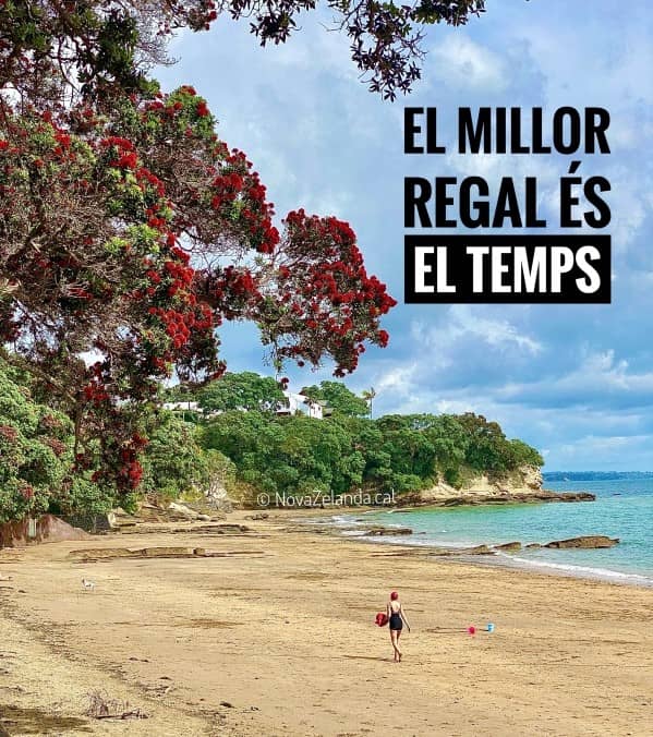 Nova-Zelanda-temps-regal-viatge-consulta-2WAYS-Tours temps és regal: consulta per viatge a Nova Zelanda amb 2WAYS Tours