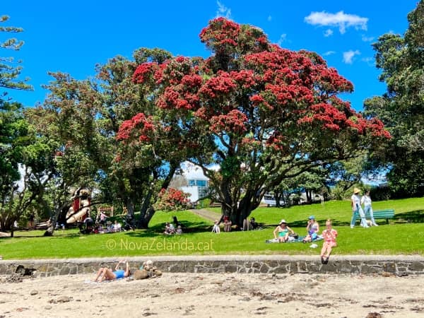 Nova Zelanda Viatges i Vacances Luxe amb 2WAYS Tours