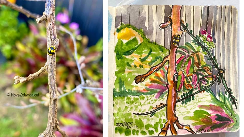 Sketch-Marieta-Nova-Zelanda-2WAYS-Tours Sketch de Marieta a Nova Zelanda -<br />
2WAYS Tours