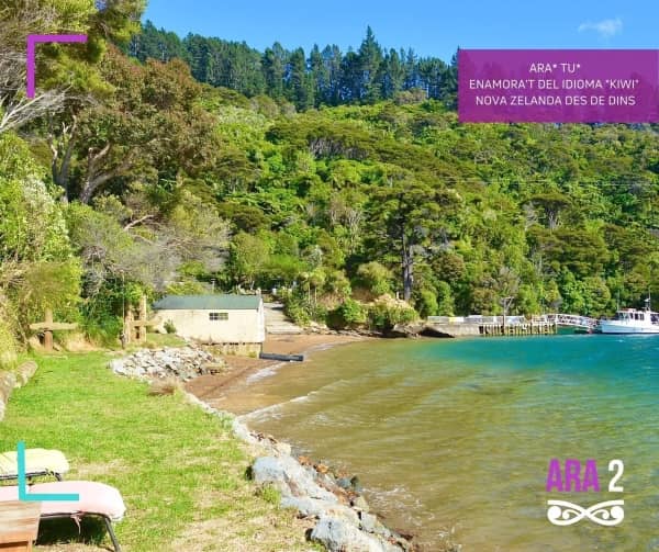 On allotjar-se a Nova Zelanda -2WAYS Tours