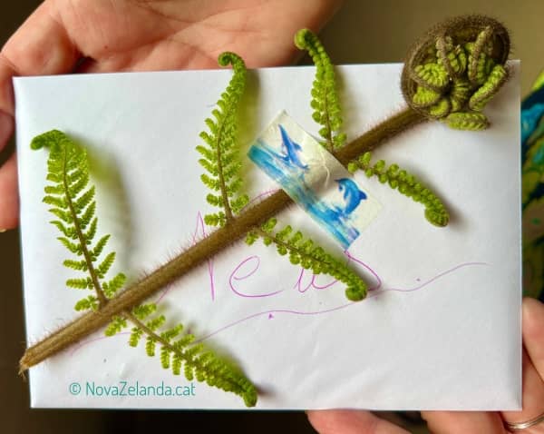 Regalar una postal des de Nova Zelanda - 2WAYS Tours