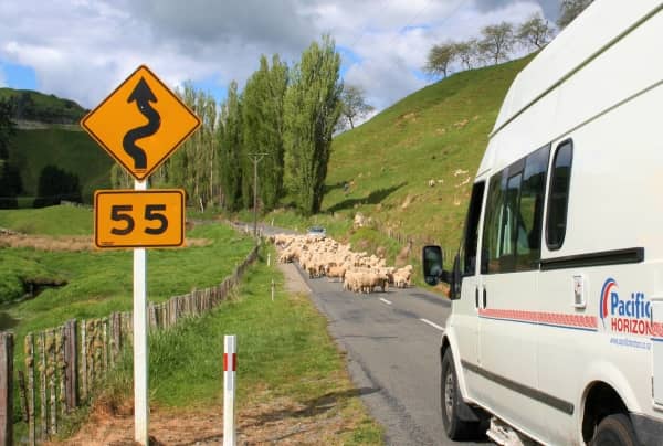 Viatges en caravana a Nova Zelanda - 2WAYS Tours Viatges en caravana per Nova Zelanda - 2WAYS Tours