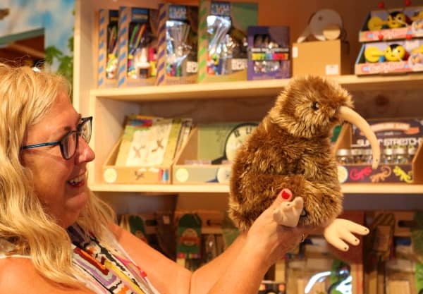 ocell kiwi regal de Nova Zelanda per infants