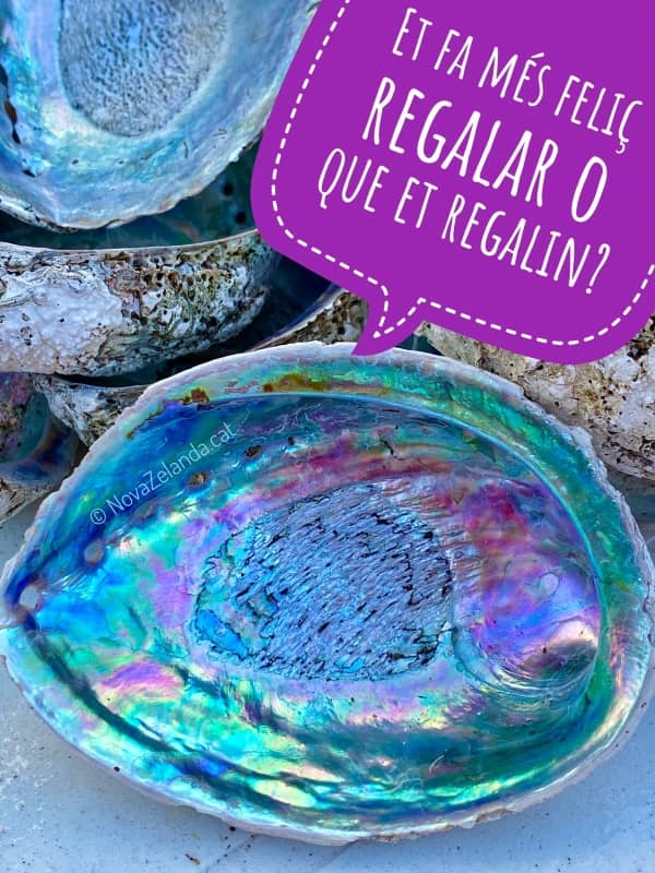 Paua regals iconics del viatge per Nova Zelanda