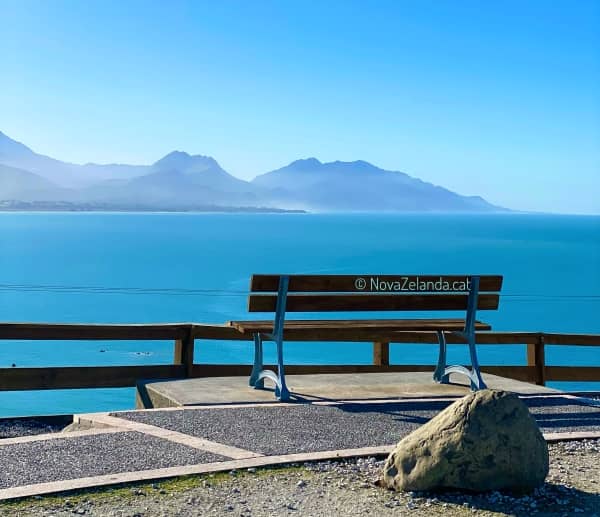 Les llengues connecten el viatge a Nova Zelanda