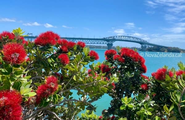 Pont Auckland, viatges a Nova Zelanda amb 2WAYS Tours