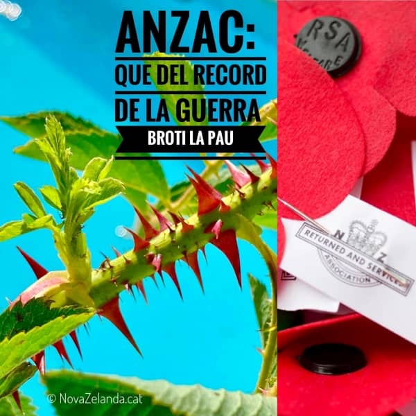 Dia l'ANZAC a Nova Zelanda - 2WAYS Tours