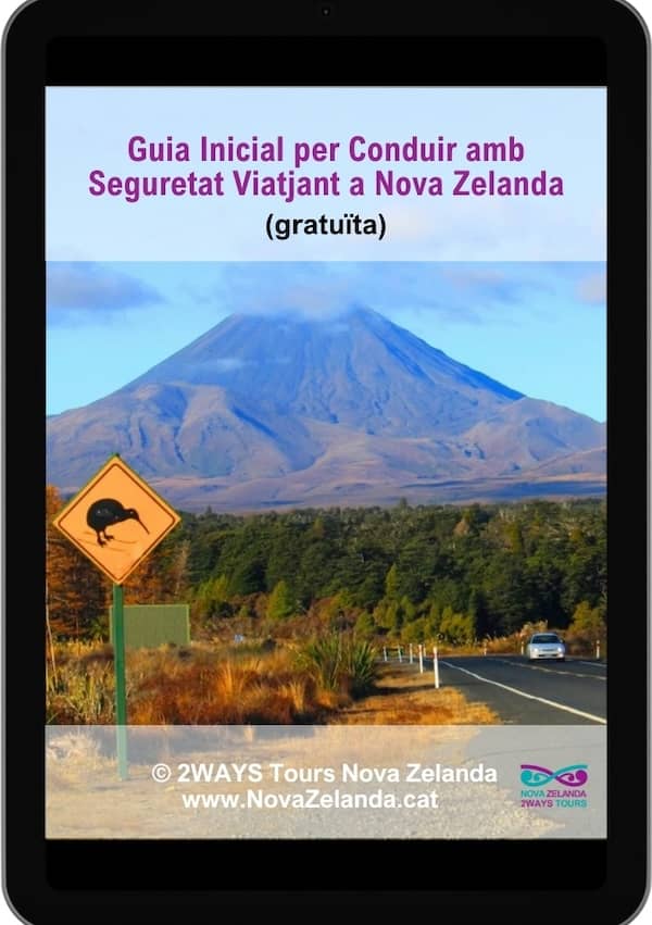 Guia Inicial Gratuïta per Conduir amb Seguretat Viatjant a Nova Zelanda -2WAYS Tours