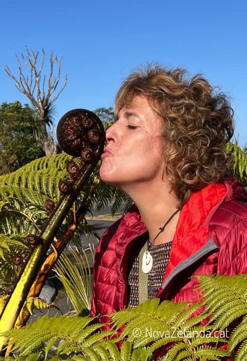 Inspira't connectat a la natura a Nova Zelanda -2WAYS Tours Inspira't connectat a la natura a Nova Zelanda amb 2WAYS Tours