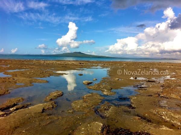 La llengua està en els paissatges a Nova Zelanda -2WAYS Tours La llengua està en els paissatges a Nova Zelanda -2WAYS Tours