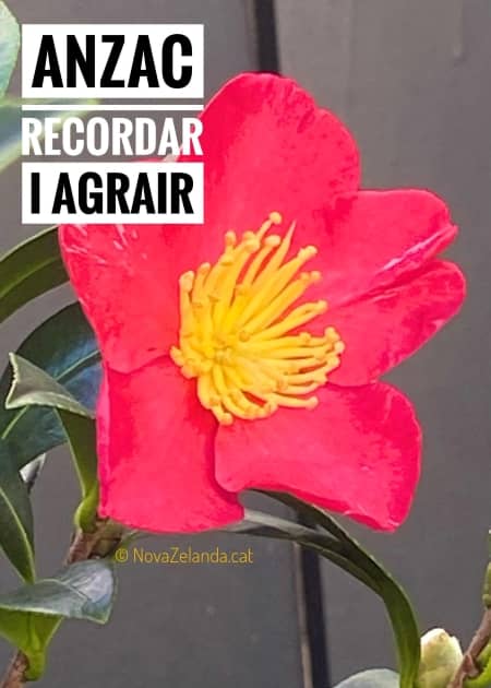 Dia ANZAC Nova Zelanda - 2WAYS Tours Dia l'ANZAC a Nova Zelanda - 2WAYS Tours