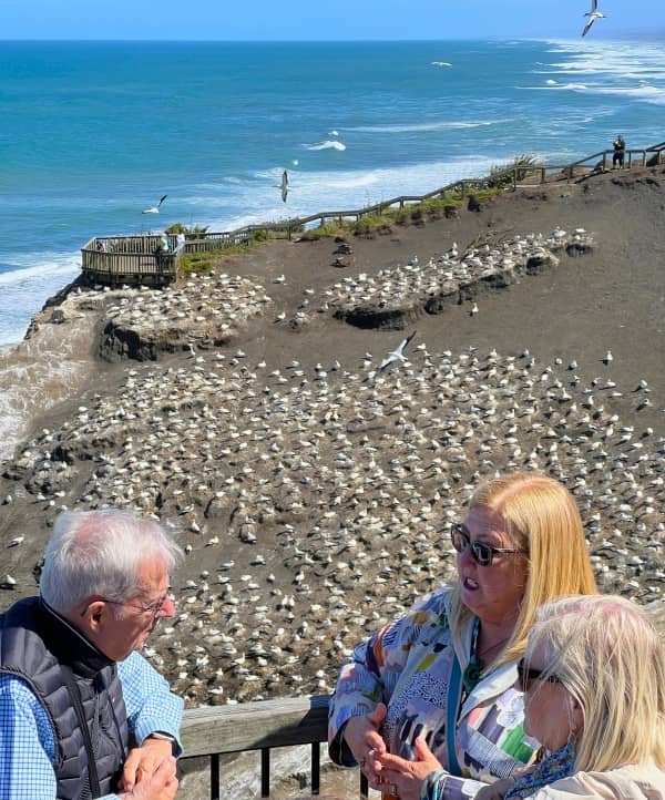guía naturaleza - Viajes a Nueva Zelanda con 2WAYS Tours