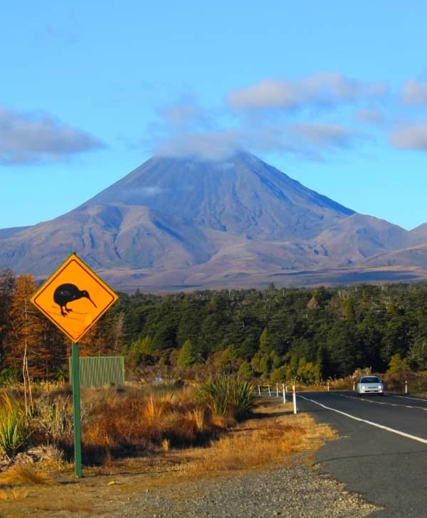 transporte - viajes a Nueva Zelanda con 2WAYS Tours